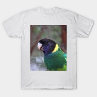 Australian Ringneck Parrot T-Shirt